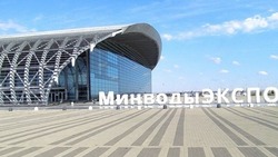 Всероссийские соревнования по кудо состоятся в Минводах 