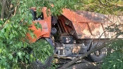 Грузовик вылетел с трассы в дерево в окрестностях Минеральных Вод
