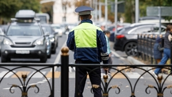 В Минераловодском округе 11 водителей отстранили от управления за пьяную езду