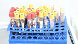 Станция переливания крови посетит Минеральные Воды 2 августа