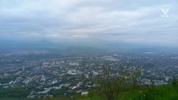 Делегация предпринимателей из Египта посетила Ставрополье 