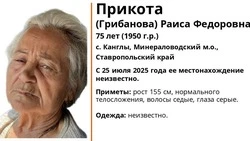 Пенсионерку ищут в Минераловодском округе
