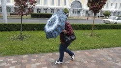 Сильный дождь с грозой и шквалистым ветром ожидается на Ставрополье 3 апреля