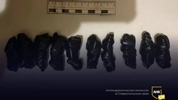 Более 80 г сильнодействующих веществ нашли у пары из Минераловодского округа