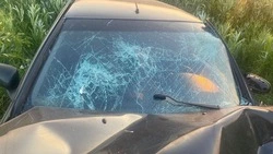 Травмы получили водитель и подросток в ДТП в Минераловодском округе
