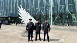 Полицейские обеспечат безопасность пассажиров нового терминала аэропорта Минвод
