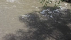 Минприроды Ставрополья: Уровень воды достиг опасных отметок в реке Куме