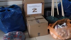Работники культуры Минераловодского округа собрали подарки для бойцов СВО