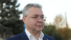 Губернатор Ставрополья исполнит мечту жительницы Минвод в акции «Ёлка желаний» 