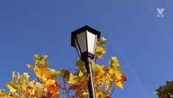 В сквере «Дружба» заменили 55 ламп в Минводах после обращений жителей