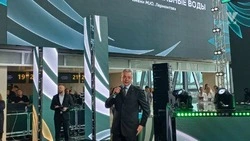 Губернатор рассказал об открытии нового терминала в аэропорту в Минводах