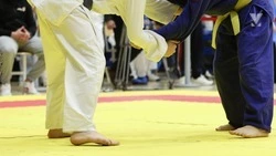 20 ставропольских спортсменов выступят на чемпионате России по дзюдо в Минводах