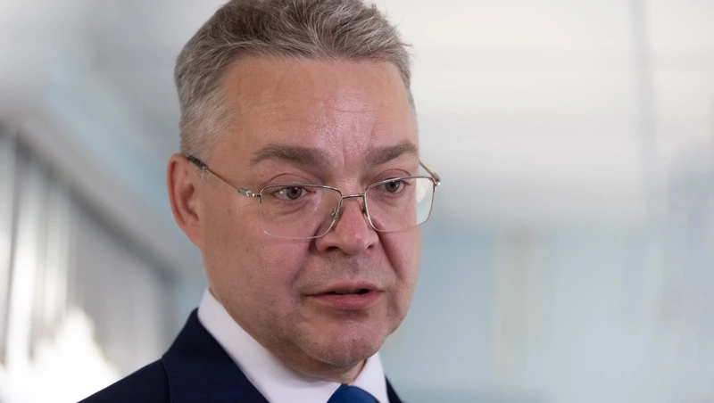 Губернатор Владимиров поручил проверить случай с укусами у ребенка в Минводах