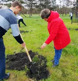 150 деревьев высадили в селе Нижняя Александровка Минераловодского округа 