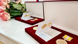 Медали «За сохранение семейных ценностей» вручили минераловодцам