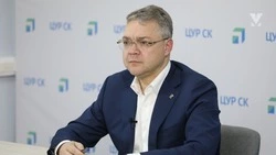 На Ставрополье запланировано создание горячей линии для семей участников военной спецоперации на Украине