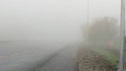 Видимость на дорогах Ставрополья ограничена туманом