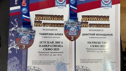 Спортсмены из Минеральных Вод стали победителями турнира по панкратиону