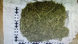 Более 3 кг марихуаны нашли у минераловодца 