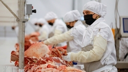 Мясокомбинат в Минводах ежегодно выпускает до 20 тысяч тонн продукции