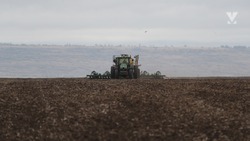 Ставропольские аграрии продолжают осенне-полевые работы