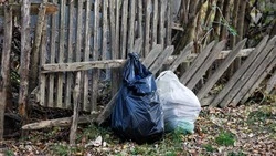 В Минераловодском округе неизвестные выбросили мешки с мёртвыми птицами