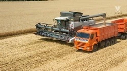 В Ставропольском крае приступили к осенней посевной