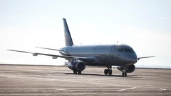 Попрошайки замучили своими приставаниями пассажиров аэропорта в Минводах