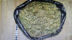 У минераловодчанки нашли более 500 г марихуаны