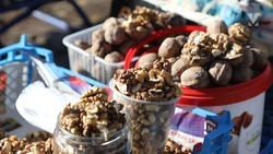 На Ставрополье выращивают около 700 гектаров орехов различных сортов 