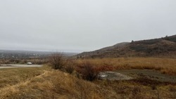 Высушенные пруды могут восстановить в селе Минераловодского округа