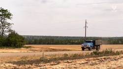 Рекордные 628 тыс. тонн гороха собрали ставропольские аграрии