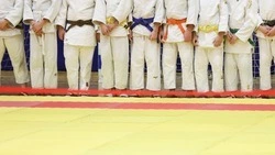 Ставропольские дзюдоисты завоевали четыре медали на чемпионате России в Минводах