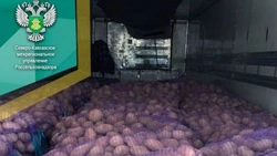 В Минеральных Водах проверили 10 тыс. тонн овощей из Грузии