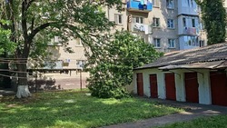 Упавшую на гараж дома крупную ветвь дерева уберут в Минводах