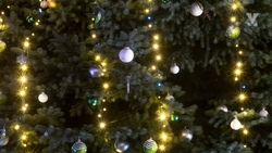 Пожарную безопасность в преддверии Нового года проверят в Минводах