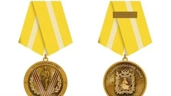 Волонтёра из Минвод выбрали в соцсетях для награждения медалью «За поддержку СВО»