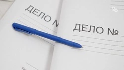Следком возбудил дело после нападения собак на девочку в Минводах