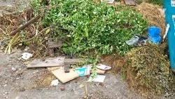 Борьбу со стихийными свалками ведут в Минводах