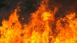 Двое дошкольников погибли в пожаре в селе Нагутском 