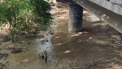 Уровень воды в реке Кума понизился в Минводах