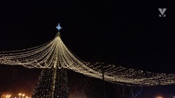 Главную городскую ёлку откроют в Минводах 1 декабря