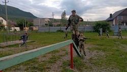 Школьники пяти территорий КМВ поучаствуют в проекте «Армейский марафон»