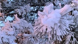 Минводы попали в топ направлений для отдыха на новогодних каникулах 