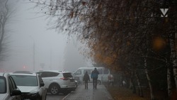 Туман затрудняет движение на Ставрополье 13 января