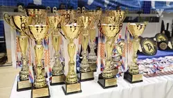 Спортсмены из Минвод завоевали 26 медалей на турнире по кудо в Сочи