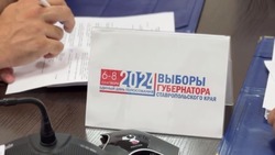 Проголосовать за главу Ставрополья в Минераловодском округе можно на 65 участках