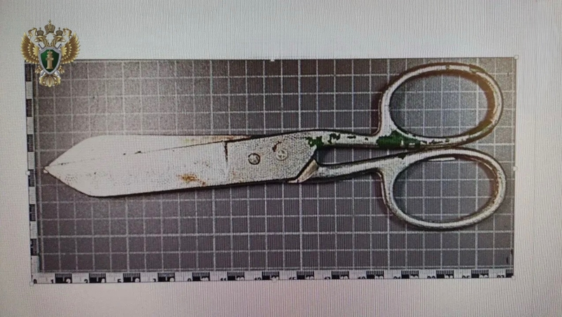 Жителя Минвод будут судить за убийство знакомого ножницами