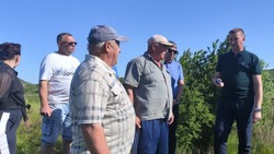 Пруд в селе Минераловодского округа будет восстановлен
