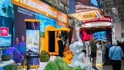Минераловодец представил музыкальные инструменты собственного изготовления на выставке в Москве